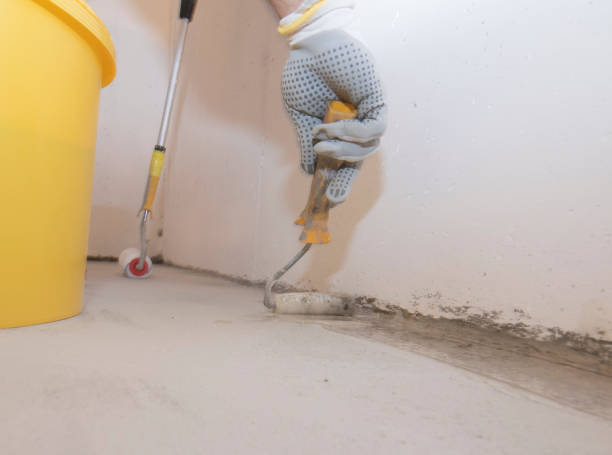 Best Fumigation Services  in Gladwin, MI